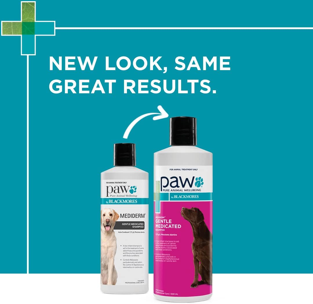 PAW By Blackmores MediDerm Gentle Medicated Shampoo (For Dogs) 500ml