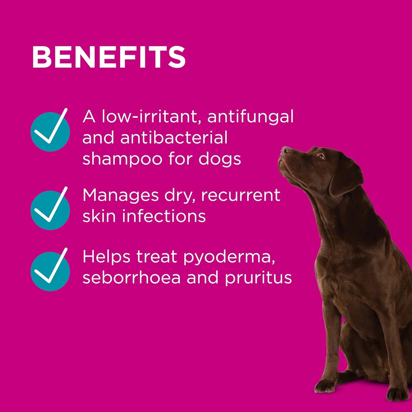 PAW By Blackmores MediDerm Gentle Medicated Shampoo (For Dogs) 500ml