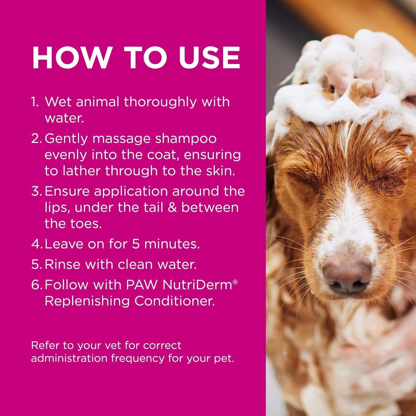 PAW By Blackmores MediDerm Gentle Medicated Shampoo (For Dogs) 500ml