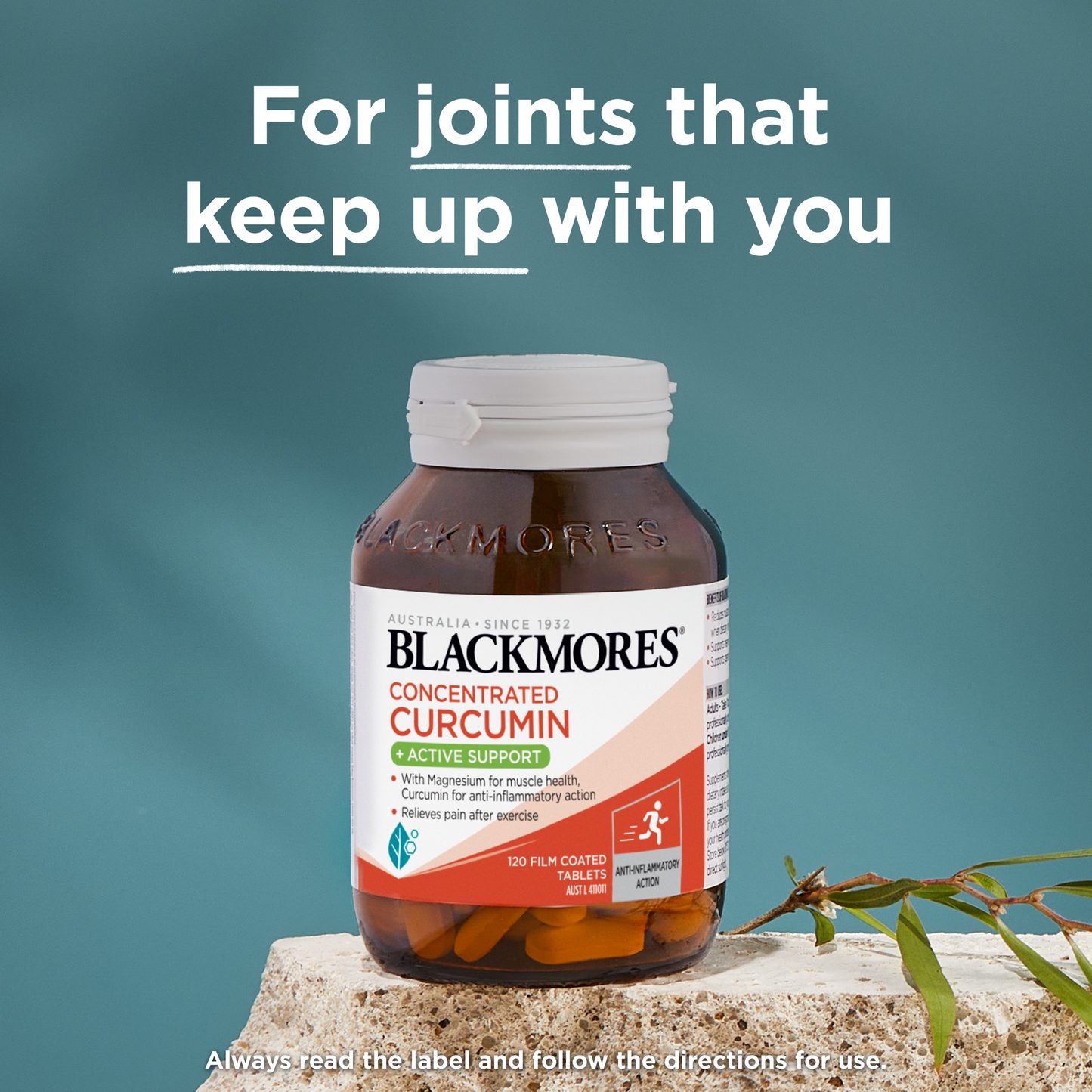 Blackmores Concentrated Curcumin + Active Support 120s