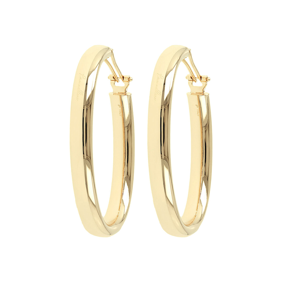 Golden Oval Hoop Earrings