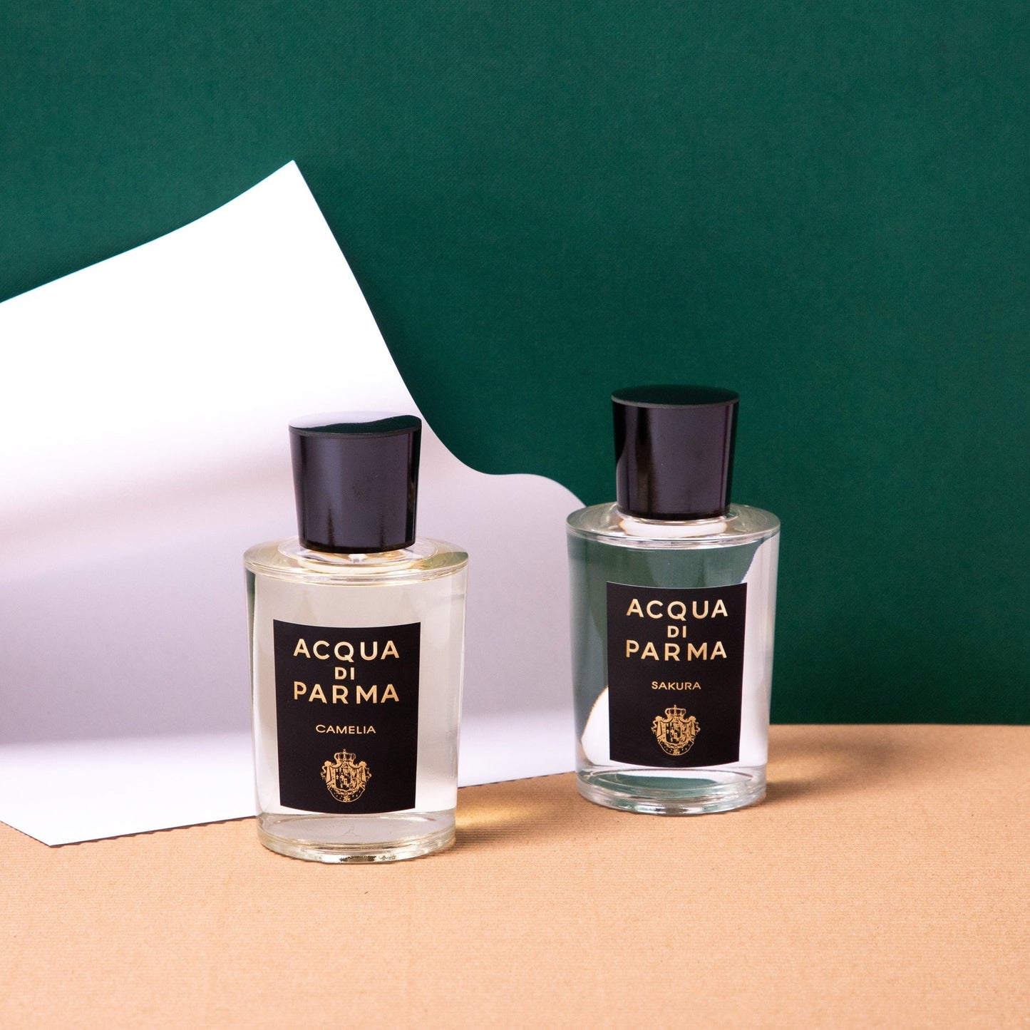 Acqua Di Parma Camelia EDP