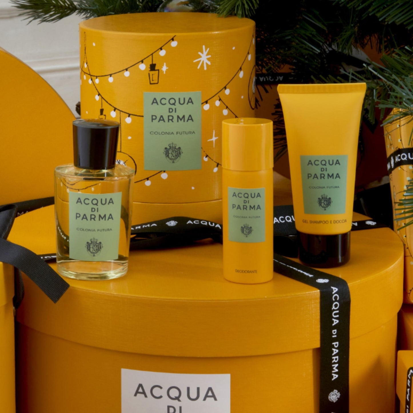 Acqua Di Parma Colonia Futura Deodorant Spray