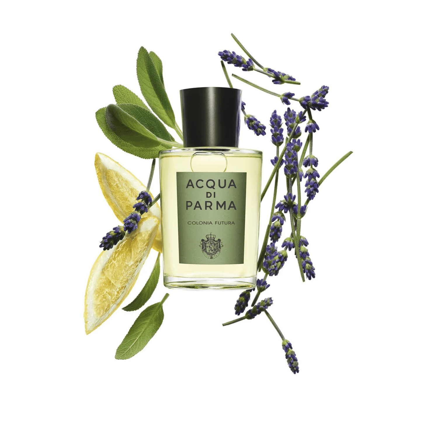 Acqua Di Parma Colonia Futura EDC