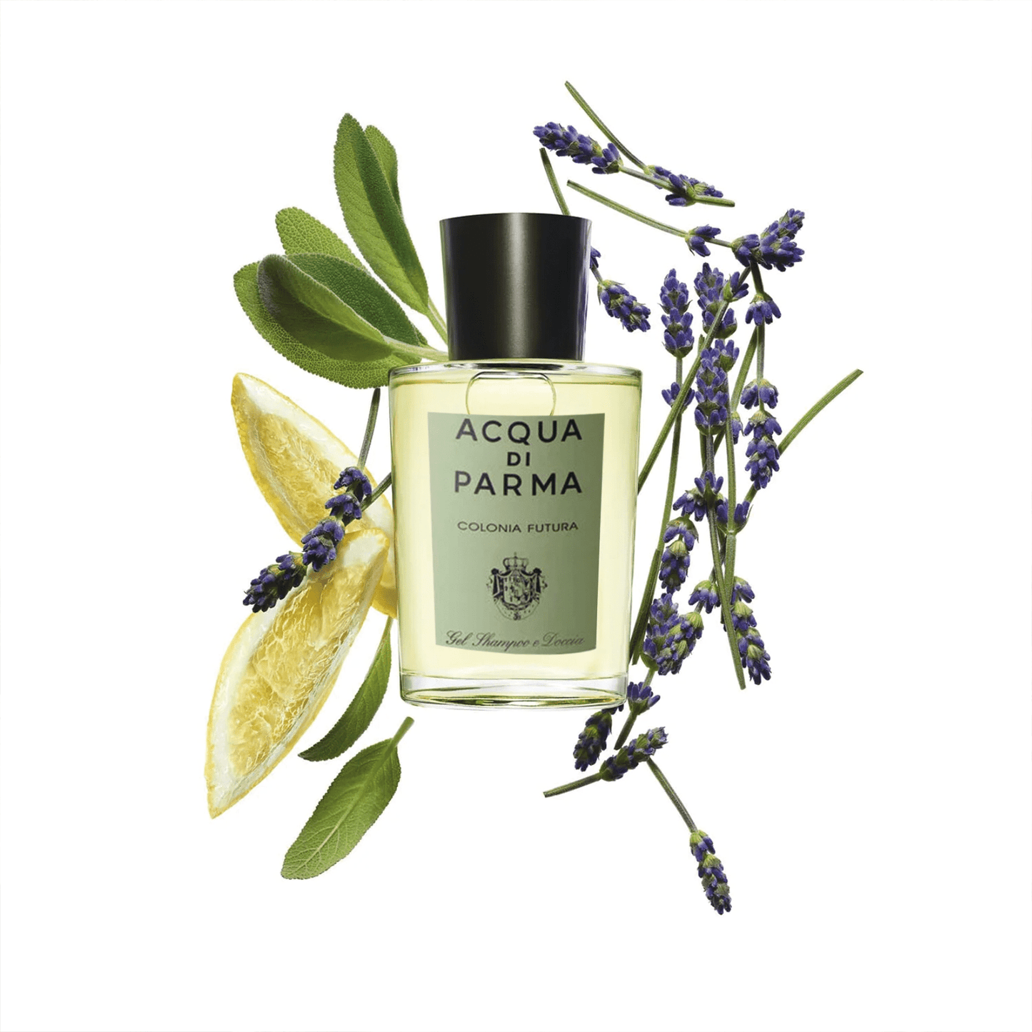 Acqua Di Parma Colonia Futura Hair And Shower Gel