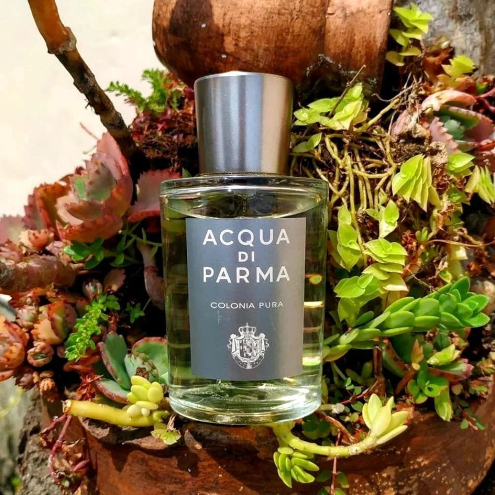 Acqua Di Parma Colonia Pura Travel Set