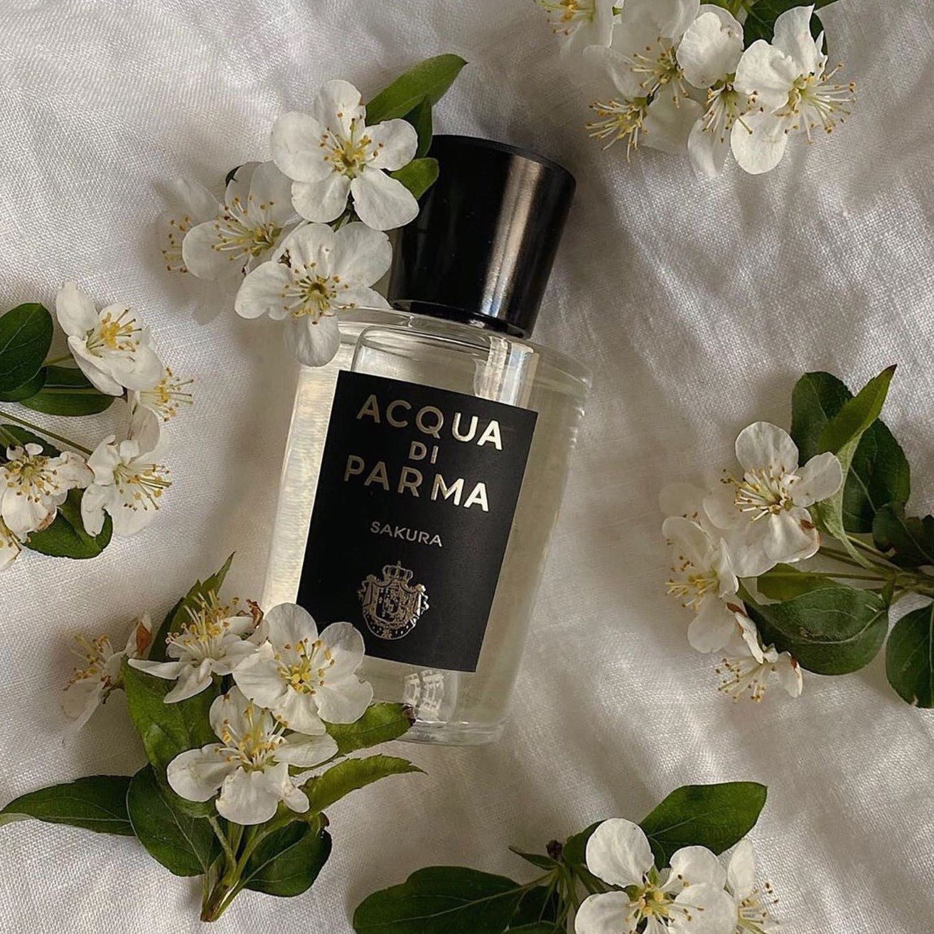 Acqua Di Parma Sakura EDP
