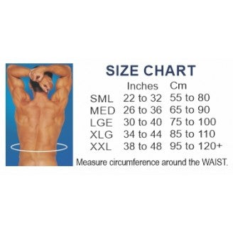Activease Deluxe DICK WICKS ACTIVEASE DELUXE MAGNETIC LOWER BACK SUPPORT