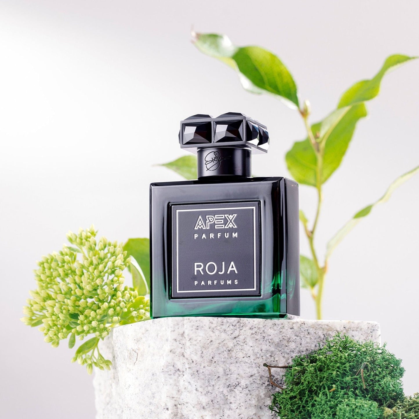 Roja Parfums Apex Parfum