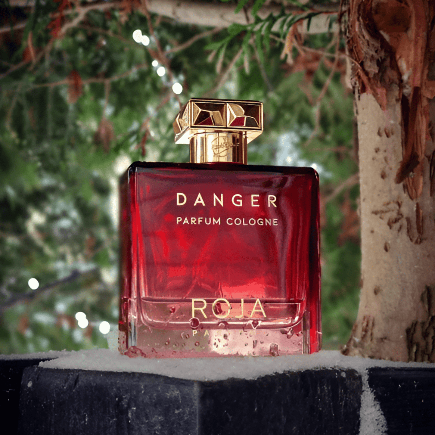 Roja Parfums Danger Pour Homme Parfum
