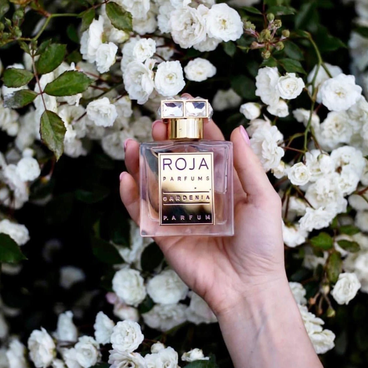 Roja Parfums Gardenia Pour Femme Parfum