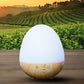 Rainbow Mist Mini Aroma Diffuser