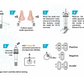 All Test Covid 19 Rapid Antigen Test Nasal (Nasal Swab) 1 Pack