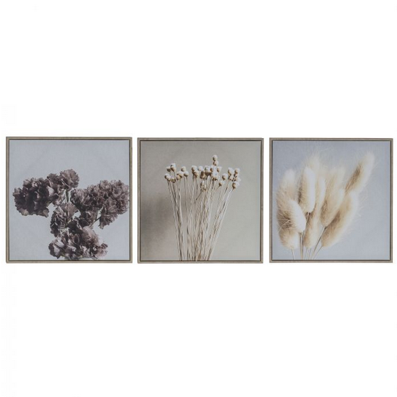 Amalfi Dried Arrangement Series Wall Décor Set/3 Natural/White 40x5x40cm