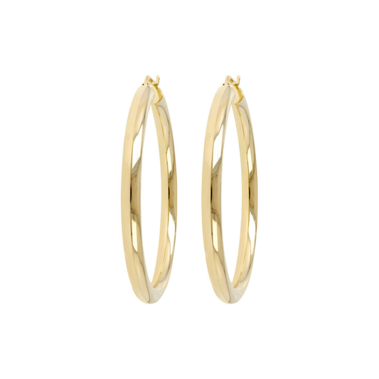 Golden Pendant Hoop Earrings