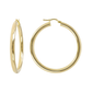 Golden Pendant Hoop Earrings