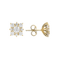 Golden Lobe Earrings with Cubic Zirconia Flower
