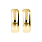 Golden Thick Hoop Earrings