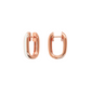 Enamelled Oval Earrings