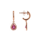 Drop Earrings in Cubic Zirconia