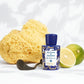 Acqua Di Parma Blu Mediterraneo Bergamotto Di Calabria EDT