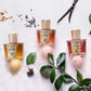 Acqua Di Parma Peonia Nobile EDP
