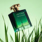 Roja Parfums Vetiver Pour Homme Parfum